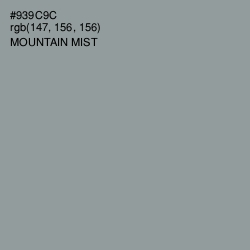 #939C9C - Mountain Mist Color Image